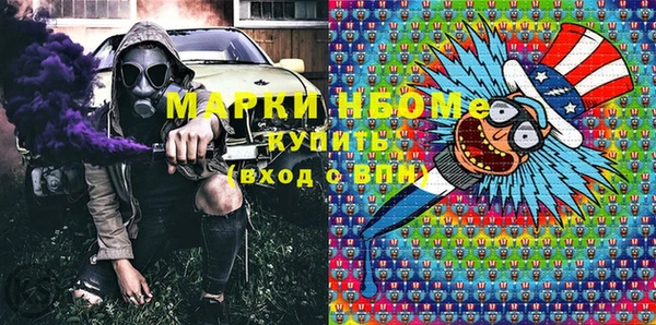 прущие грибы Наволоки