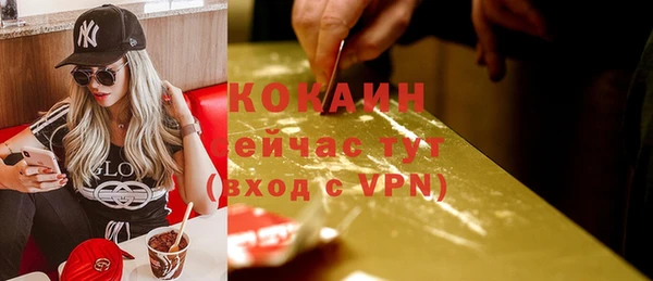 прущие грибы Наволоки