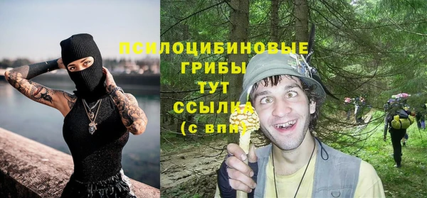 прущие грибы Наволоки