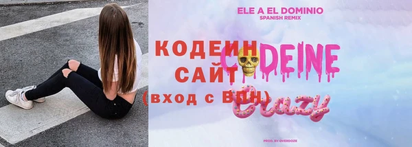 прущие грибы Наволоки