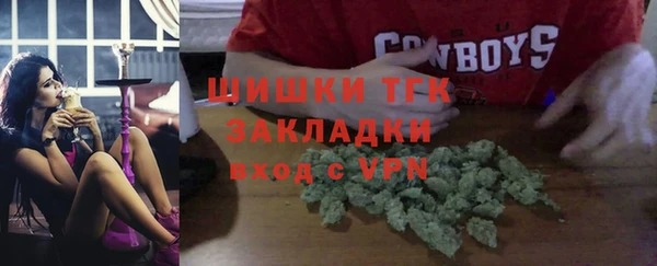 прущие грибы Наволоки