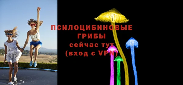 прущие грибы Наволоки