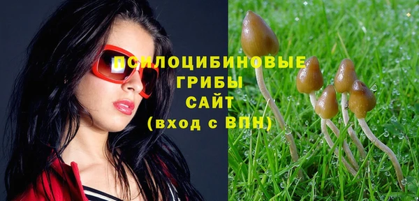 2c-b Навашино
