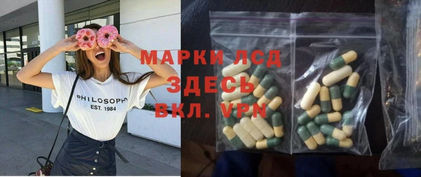 прущие грибы Наволоки